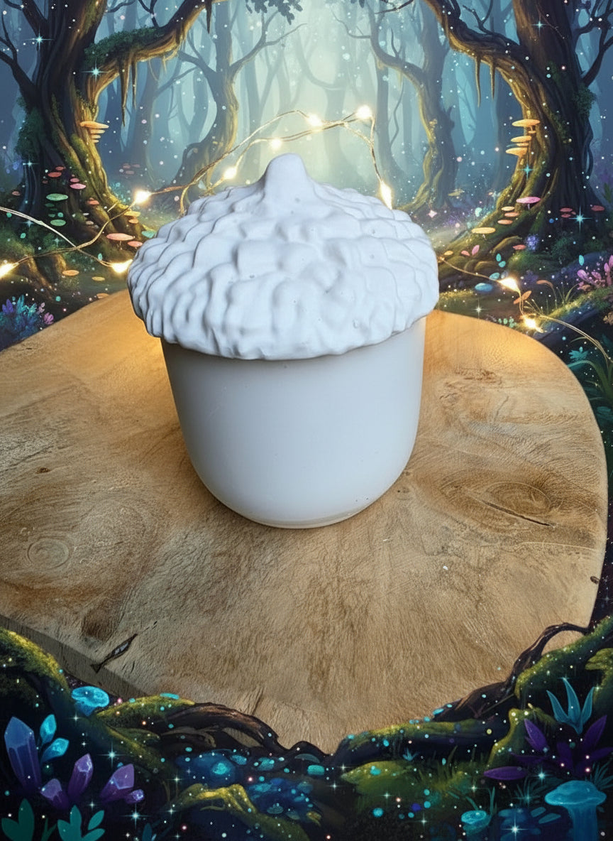 Boite Fruit du chêne