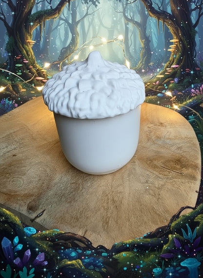 Boite Fruit du chêne